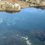 Carpe Diem Azores