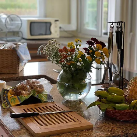 Carpe Diem Azores Alpesi faház Mosteiros